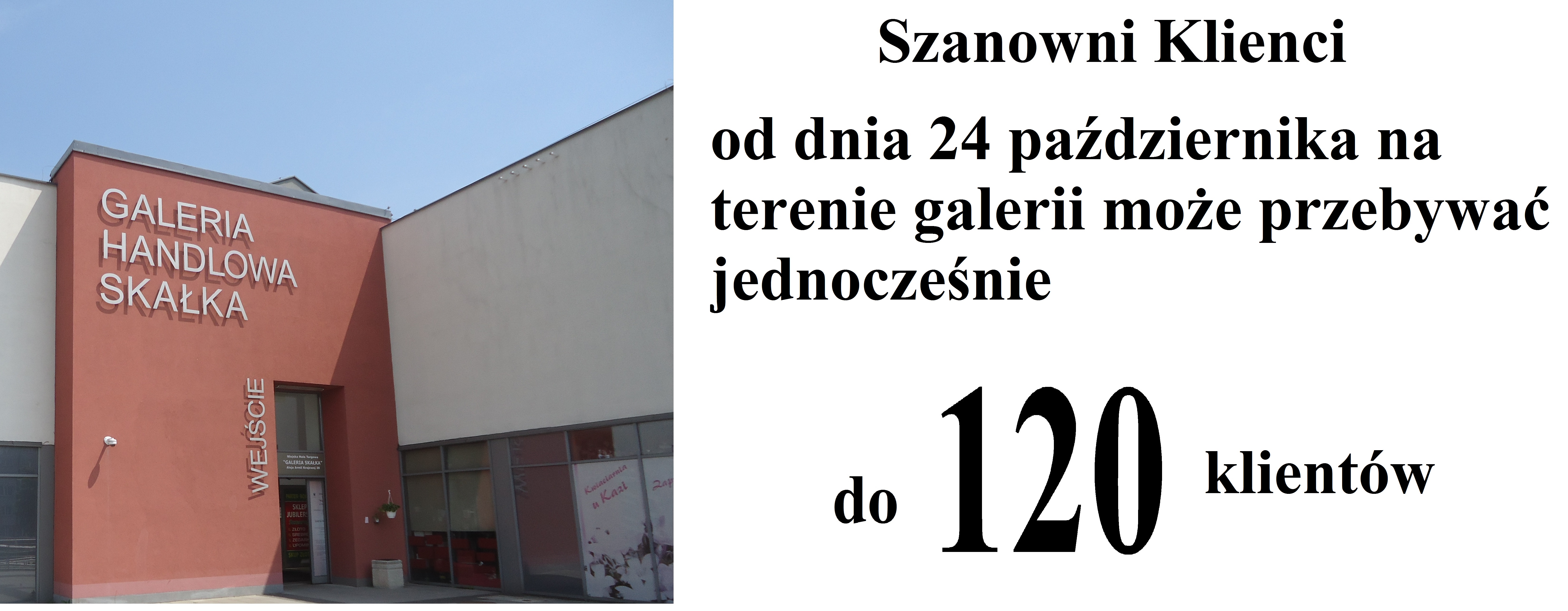 grafika 